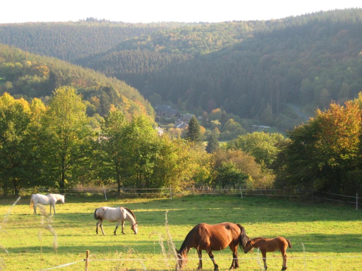 Beautiful House With View Of The Houille Valley Vencimont Buitenkant foto